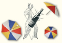 magie-lots : Lote de paraguas y pañuelos de producción